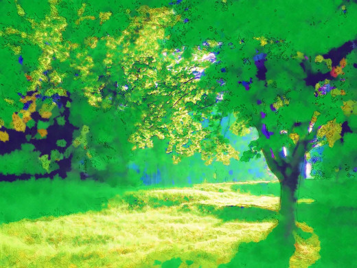298812 (a): :1600x1200